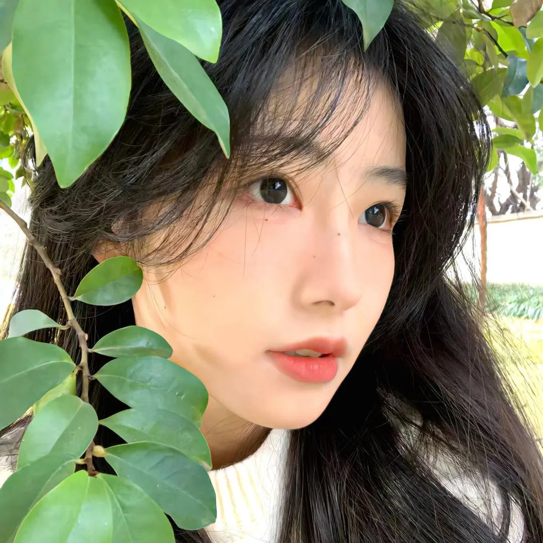太空百合战斗姬